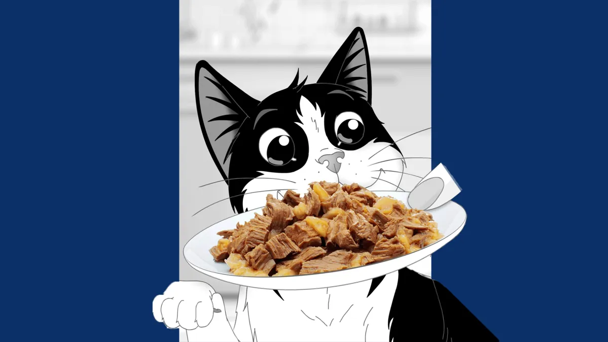 フィリックス(Felix)キャットフードのおいしさのヒミツ- ピュリナ公式